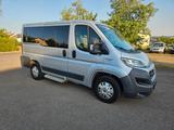 Fiat Ducato Luxusbus Panorama 30 150 L1H1 9-Sitze. - Fiat Ducato: Luxusbus