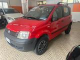 Fiat Panda 4x4 Panda 1.2 4x4 CLIMA - Fiat Panda Cabrio Gebrauchtwagen