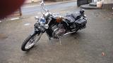 Suzuki VS 800 Intruder - Angebote