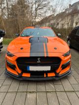 Ford Mustang 5.0 Ti-VCT V8 GT shelby  - Ford Mustang in Köln
