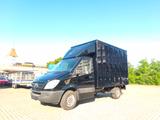 Mercedes-Benz Sprinter 316CDI*Koffer*95.500km*Webasto - Kipper W50