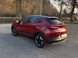 Opel Grandland (X) Ultimate 1.2 Turbo,Aut.Leder.AHK  - Opel Grandland (X) von privat
