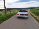 Mercedes-Benz SL 320 - - Mercedes-Benz SL 320 Gebrauchtwagen