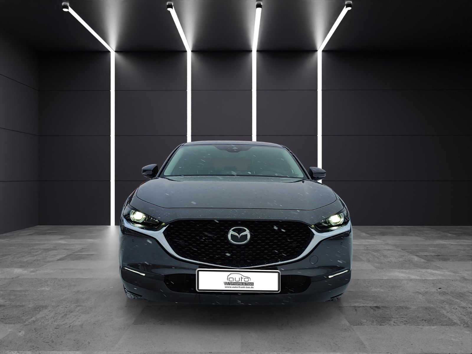 Fahrzeugabbildung Mazda CX-30Matrix*Bose*360°Cam*CarPlay*Head-Up*