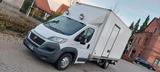 Fiat 3,5t Fiat Ducato Maxi 2,3l Koffer LKW Tran... - Fiat Ducato Koffer Gebrauchtwagen
