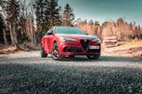 Alfa Romeo Stelvio Quadrifoglio (Akrapovic, Pano, AHK) - Alfa Romeo Stelvio von privat