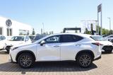 Lexus NX 450h+ 2.5 E-Four - Lexus NX 450h Gebrauchtwagen