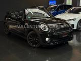 MINI Cooper S Cabrio Automatik/Navi/Shz/Temp/Kam/H&K - MINI Cabrio Serie mit Schiebedach
