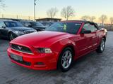 Ford Mustang Cabrio 3.8 Automatik - Ford Gebrauchtwagen von 2013