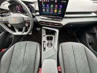 Cupra Terramar - Vorschau Bild 20