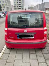 Fiat Panda - Fiat Panda Gebrauchtwagen in Krefeld