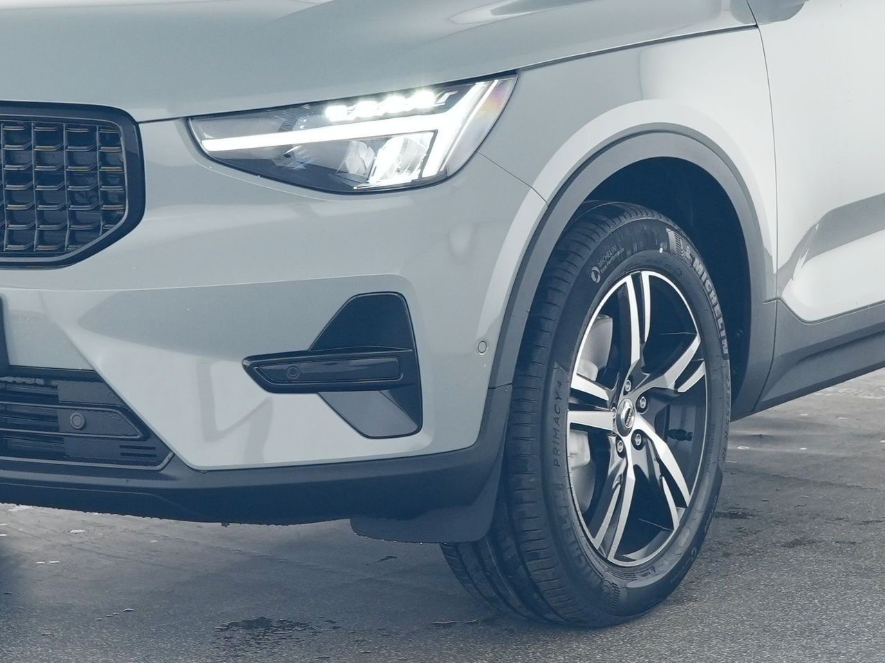 Fahrzeugabbildung Volvo XC 40 B3 Plus Dark | Standheizung | 360°