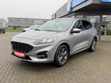 Ford Kuga ST-Line X AHK PanoSD Winterpaket Headup B&O - Euro5 Gebrauchtwagen