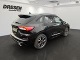 Ford Kuga Plug-In Hybrid Duratec -PHEV EU6d ST-Line X - Ford Kuga: Eu