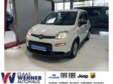 Fiat Panda Hybrid *Tech-Paket *ISOFIX-Kindersitzbefes - Fiat Panda: I