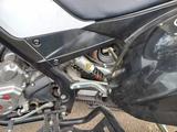 Yamaha Raptor  - YAMAHA QUAD