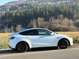 Tesla Model Y Performance Dual Motor AWD Performance