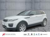 Land Rover Range Rover Evoque 2.0 Si4 AWD PURE Bi-XEN+PANO - Land Rover Gebrauchtwagen von 2019