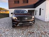 Mercedes-Benz ML 350 BlueTEC 4MATIC AMG LUFT AHK 07/28 - Mercedes-Benz: 3.0