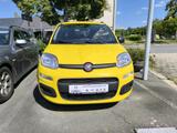 Fiat Panda Pandina Icon Hybrid - Fiat Panda in Chemnitz