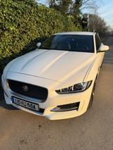 Jaguar XE 20t 200PS R-Sport Automatik R-Sport / 19 Zoll - Jaguar mit Benzin-Antrieb: Limousine, Automatik