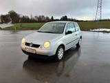 Volkswagen Lupo 1.4 TÜV Klima 1.4 - gebrauchte VW Lupo aus dem Jahr 2004