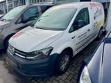 Volkswagen 2 x Caddy Maxi 2.0 TDI - Volkswagen Caddy Maxi in Lübeck
