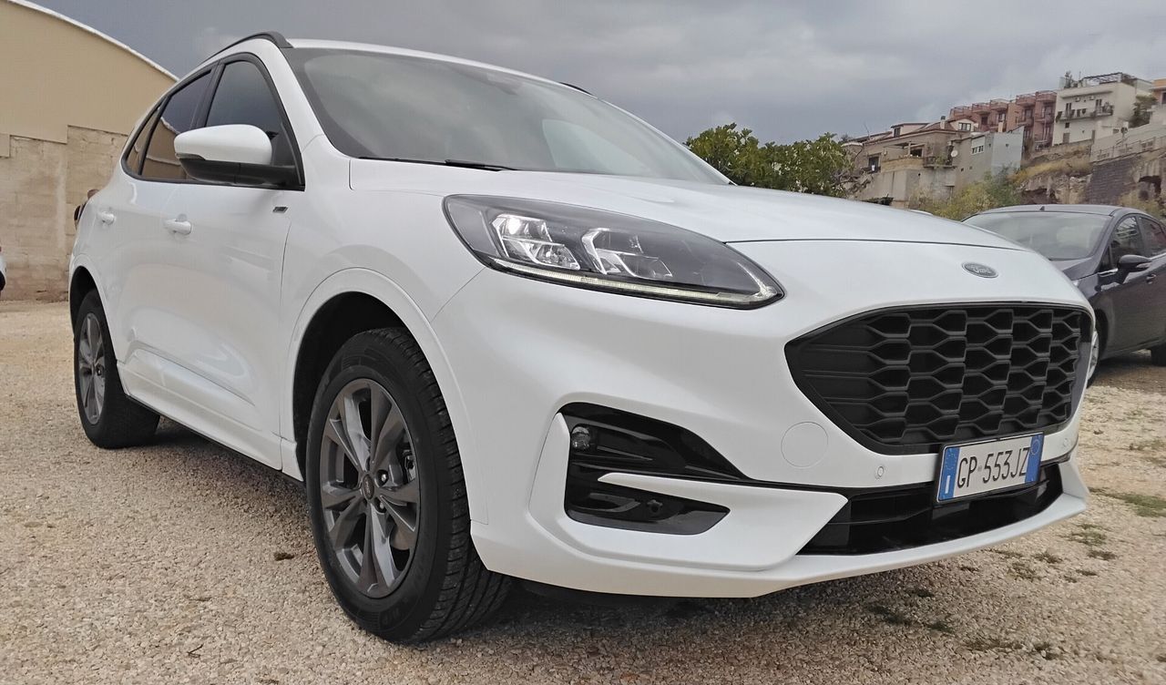 Ford Kuga 2.5 Plug In Hybrid 225 CV CVT 2WD ST-L