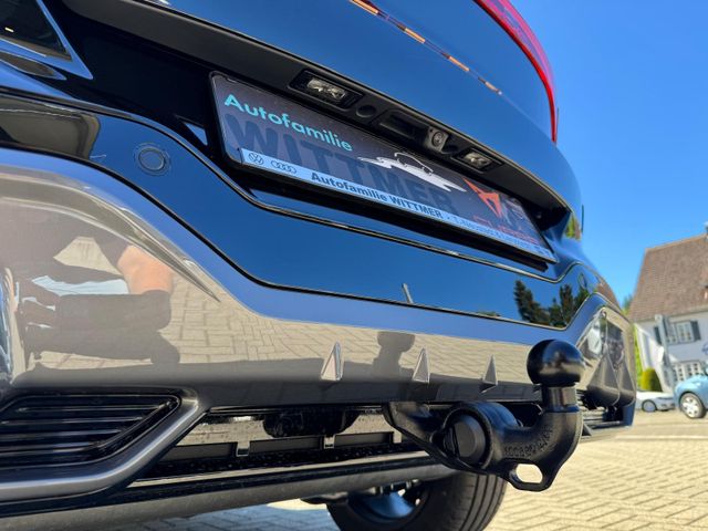 Terramar 2.0TSI 195kW VZ DSG 4Drive AHK/NAV/ACC