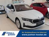 Skoda Octavia 130 Jahre 1.5 TSI - Skoda Octavia New cars