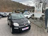 Fiat Panda Easy*2.HAND*KLIMA*E.FNST*BLACK*PDC*TOP - gebrauchte Fiat Panda aus dem Jahr 2018