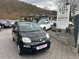 Fiat Panda Easy*2.HAND*KLIMA*E.FNST*BLACK*PDC*TOP - Fiat Panda aus 2018