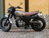 Honda NX650 Dominator - Scrambler Umbau