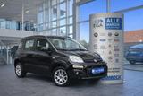 Fiat Panda LOUNGE AUTOM.KLIMA PDC RCD W-Paket SHZ ALU - Fiat Panda Gebrauchtwagen in Solingen