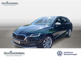 Skoda Octavia Combi Scout 4x4 TDI DSG Navi AHK LED ACC - Skoda Octavia: Scout TDI Dsg