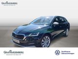 Skoda Octavia Combi Scout 4x4 TDI DSG Navi AHK LED ACC - Skoda Octavia: Scout