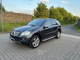 Mercedes-Benz ML 300/350 CDI BlueEfficienc... - Mercedes-Benz ML 300 von privat