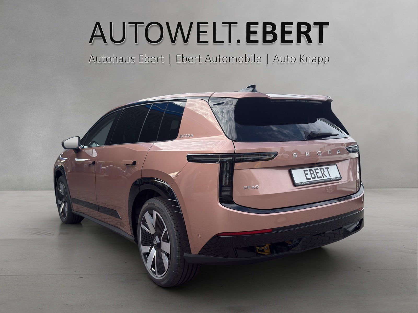 Skoda Peaq Selection 90 (91 kWh) 210 kW MATRIX/AHK/ACC imagem 3