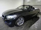 BMW 218 Cabrio d Advantage Automatik - BMW 218: 218d