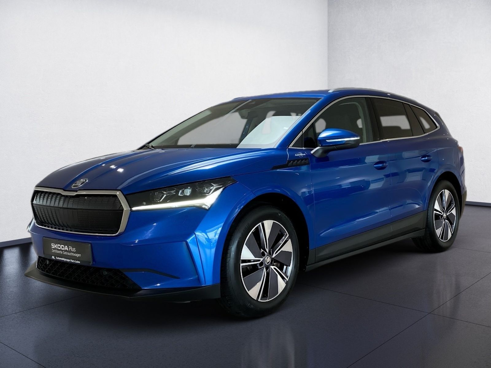 Skoda Enyaq iV 4x4 Panorama RFK AHK Matrix Navi ACC LM imagem 2