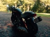 Harley-Davidson Sportster XR 1200 X - Offers matching your search criteria