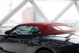 Bentley Continental GTC 4.0 V8 | Mulliner | Red Roof | B - Bentley Continental GTC: Mulliner