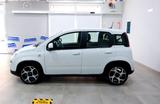 Fiat Panda Sport 1.0 HYBRID 70cv - Fiat Panda Sport mit Hybrid-Antrieb (Benzin/Elektro)