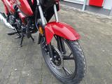 Honda CB125F NEU MY2026 sofort Verfügbar - HONDA CB 125 F