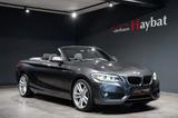 BMW 228i Cabrio Aut. BiXenon-Navi-Leder-HiFi - BMW 228 aus 2016