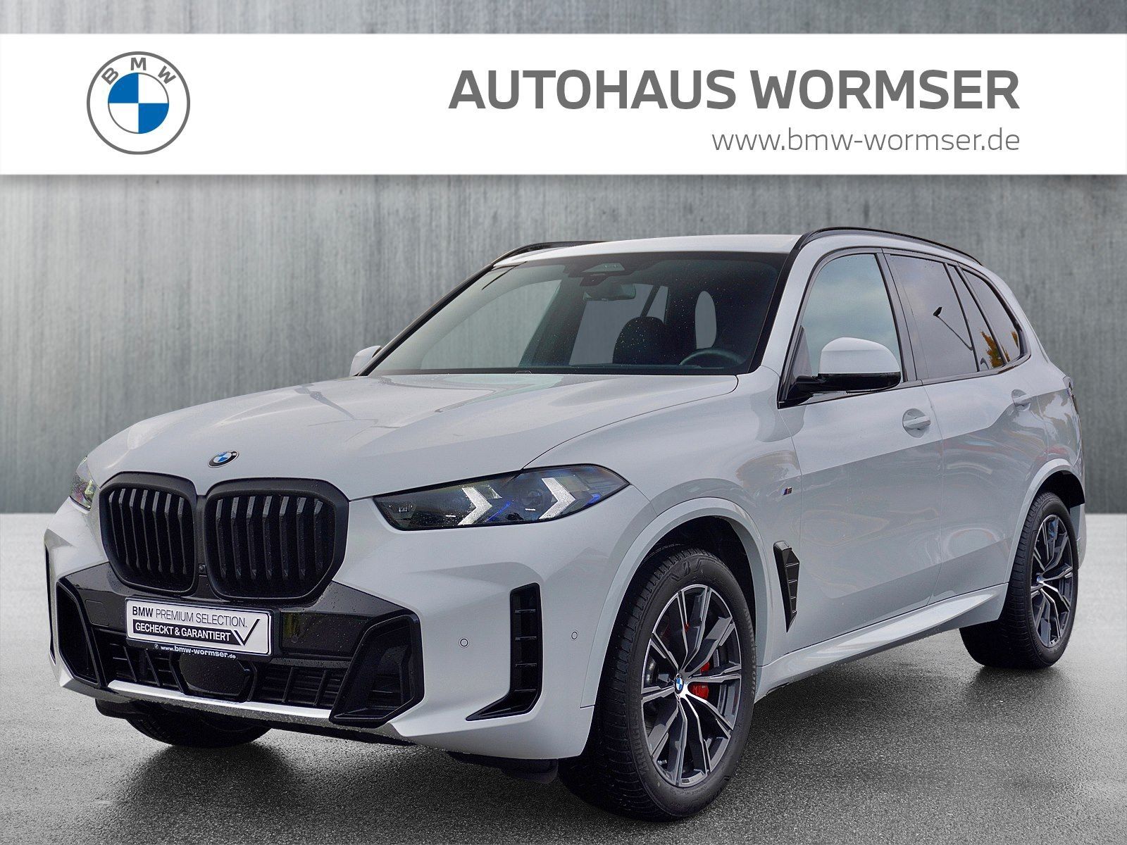 BMW X5 xDrive30d M Sportpaket Gestiksteuerung DAB