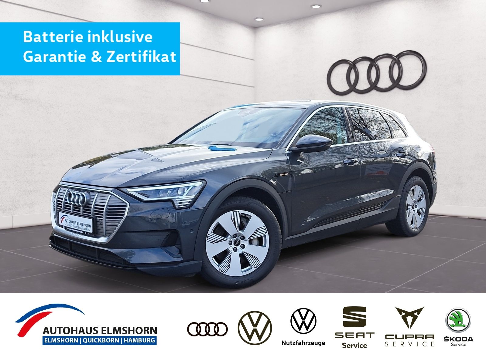 Audi e-tron 50 quattro AHK NAV LED AIR GRA PDC SHZ