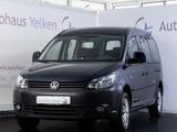 Volkswagen Caddy 1.6 TDI Maxi NAVI*SHZ*TEMP*7-SITZER - Volkswagen Caddy: 6.1