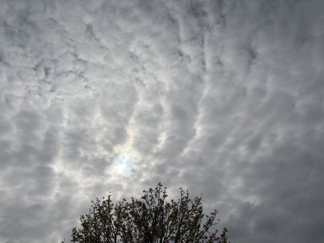 TT Roadster 2.0 TFSI Bluetooth LED Klima