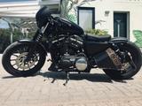 Harley-Davidson Iron 883/1200 - HARLEY-DAVIDSON 883 1200